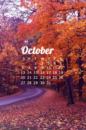 Iphone Wallpaper October, October Wallpapers, Fall Backgrounds Iphone, Autumn Leaves Wallpaper, October Wallpaper, October Calendar, Disney Background, Iphone Wallpaper Fall, Fall Background