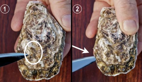 How To Shuck An Oyster, Oyster Knife, How To Cook Liver, Shucking Oysters, Oven Cleaning, Nothing More, Vitamins And Minerals, Getting Ready, Helpful Hints