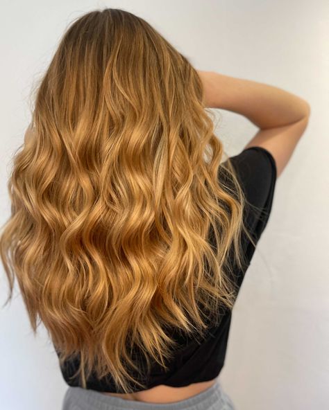 If golden hour photography was a hair color, this would be it 🤩 ​ ​Color and style by @sunkissedhairbyem Blonde Hair For Brunettes, Golden Hour Photography, Level 8, Red To Blonde, Golden Hair, Brunette To Blonde, Hair Colour, Brunette Hair, Brunette Hair Color