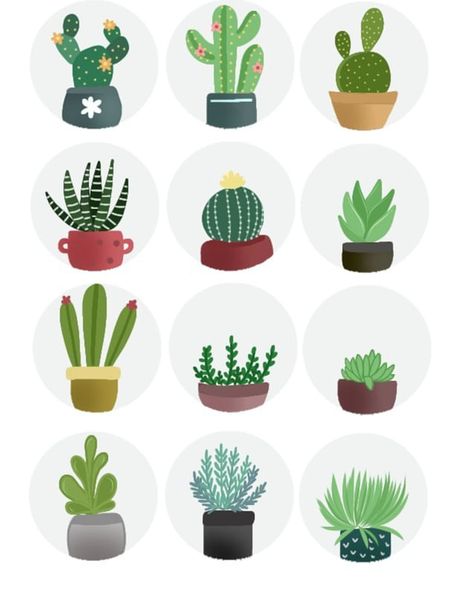 Cacti Art, Scrapbook Planning, Etsy Clothes, Cute Laptop Stickers, Cute Laptop, Illustration Art Design, Scrapbook Stickers Printable, Instagram Ideas Post, Hippie Wallpaper