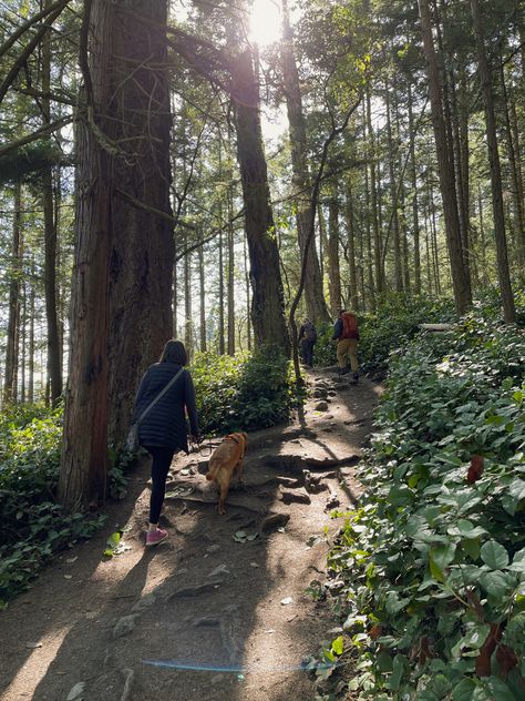 Pacific Coast Aesthetic, Granola Aesthetic Summer, Pnw Camping, Pnw Aesthetic, Granola Aesthetic, Journal 2023, Stick Season, Adventure Summer, Aesthetic Ocean