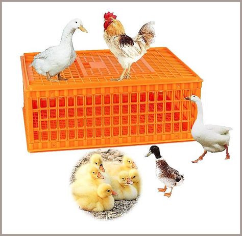 PreAsion Poultry Carrier Crate Plastic Chicken Transport Cage Transport Bird Cages Poultry Carrier Basket for 10-12 Adult Chi Plastic Crate, Plastic Crates, Bird Cages, Chicken, Dogs, 10 Things