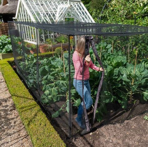 Kitchen Garden Layout, Garden Cage, Strip Garden, Perfect Garden Layout, Fruit Cages, Allotment Ideas, Fruit Cage, Build A Garden, Witchy Garden