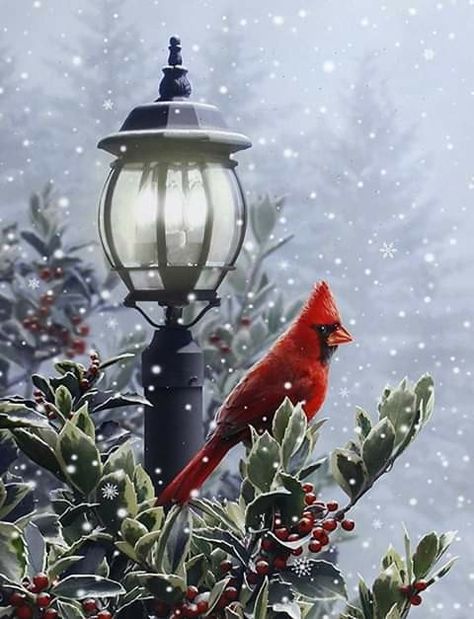 Light-Up Snow & Lamp Post Cardinal Winter Holiday Canvas Wall Art  Click here to buy it: https://7christmas.com/light-up-snow-lamp-post-cardinal-winter-holiday-canvas-wall-art/ 🎅❄️🎄☃️♥️ Park Scene, Holiday Canvas, Cardinal Christmas, Christmas Cardinals, Christmas Bird, Lighted Canvas, Pretty Images, Red Bird, Christmas Scenes