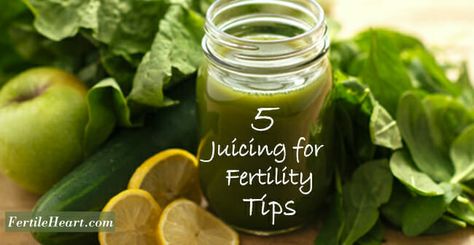 Juices For Fertility, Juicing For Fertility, Fertility Juice, Fertility Juicing Recipes, Ivf Diet, Fertility Tips, Fertility Foods, Beet Root, Baby Organization