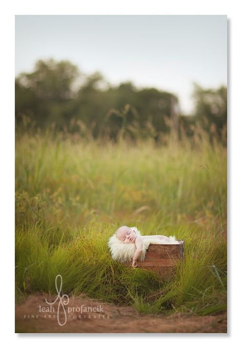 Photography - Amazing newborn photography shots. Awesome blog with heaps of pregnancy/birth/infant/children photography inspiration! Personality Pics, Outdoor Newborn Photography, Summer Newborn, Foto Newborn, Graduation Pics, Baby Shoot, Outdoor Baby, Baby Poses, Baby Inspiration