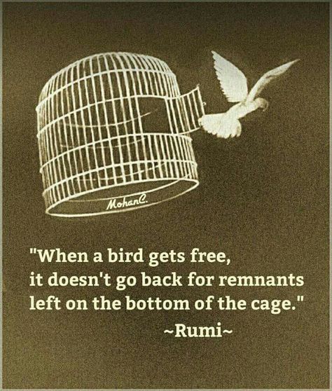 "When a bird gets free, it doesn't go back for remnants left on the bottom of the cage." Free Birds Quotes, Free Like A Bird Quotes, Rumi Poem, Rumi Poetry, Rumi Love Quotes, Rumi Love, Bird Quotes, Sufi Quotes, Rumi Quotes