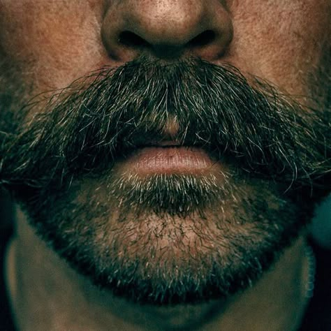 Men With Moustache, Walrus Mustache, Mens Beards, Beard Images, Moustache Style, Beards And Hair, Cool Mustaches, Mans Face, Facial Hair Styles