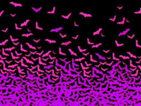 #Pink and #purple #bats on #black #background • #Halloween #wallpaper • Home for Halloween on Facebook • Cool Wallpapers Gif, Gif Background, Dark Background Wallpaper, Halloween Wallpaper Cute, Scene Wallpaper, Wallpaper Halloween, Cute Bat, Banner Gif, Live Wallpaper Iphone