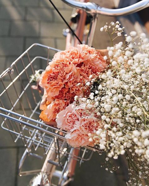 To have blooms in your bike basket. Beautiful Blooms, Plant Life, Love Flowers, My Flower, Pretty Flowers, Dahlia, Terrarium, Flower Power, Floral Arrangements