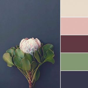 Trending: Millennial Pink in 2018 Color Palettes | Prime Line Packaging Bedroom Colour Palette, Home Office Inspiration, Millennial Pink, Color Schemes Colour Palettes, Color Palette Pink, Green Colour Palette, Theme Color, Blue Colour Palette, Color Palette Design