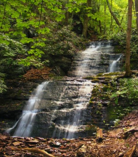 4. Laurel Falls Buttermilk Falls, Laurel Falls, Mountain Park, Waterfall Hikes, Stairway To Heaven, Best Hikes, Water Park, Hiking Trails, Water Features