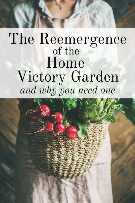 The reemergence of the Home Victory Garden and you NEED one, how to get started, and how to keep it going! Victory Garden Plans, Victory Gardens, Keep It Going, Victory Garden, Charming Garden, Local Farm, Food Supply, Food Garden, Go Off