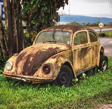 Rusty Cars Abandoned, Old Rusty Car, Bug Car, Rust In Peace, Gold Car, Classic Car Restoration, Beetle Car, Rusty Cars, Cool Car Drawings