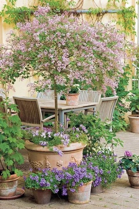 Practical ideas for an amazing small garden | My desired home Small Flower Gardens, Tanaman Pot, Old Garden, Small Courtyard Gardens, Courtyard Gardens Design, Cottage Garden Design, Garden Types, Cottage Gardens, Creative Gardening