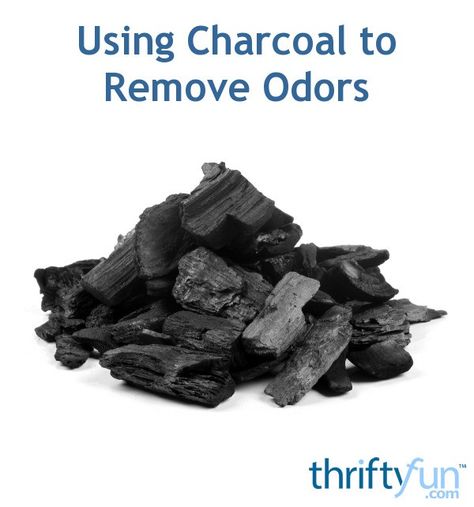 Charcoal is used to remove odors in many situations. This is a guide about using charcoal to remove odors. Odor Eliminator Diy, Basement Odor, Activated Charcoal Uses, Diy Air Purifier, Charcoal House, Skunk Smell, Charcoal Uses, Room Deodorizer, Odor Absorber