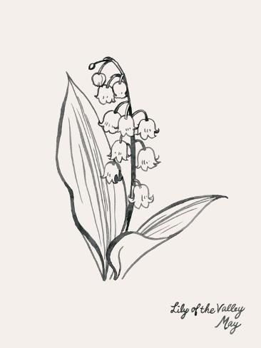 size: 12x9in Art Print: Annual Flowers V by Grace Popp : Sketch Plants, Annual Flowers, Alcohol Markers, Wedding Diy, Stock Paper, Card Sketches, Fine Arts Posters, Lily Of The Valley, Big Canvas Art