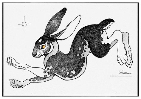 Rabbit Tattoos, Rabbit Art, Bunny Art, Animal Sketches, Creature Concept Art, White Rabbit, Art Plastique, Linocut, Animal Drawings