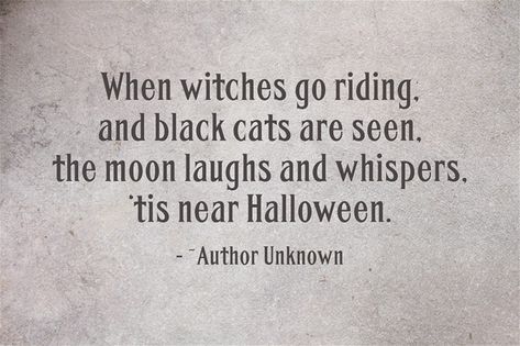 When Witches Go Riding, Riding Quotes, Go Ride, Relatable Things, Witch Cat, Cat Quotes, Meaningful Words, Black Cats, Beautiful Images