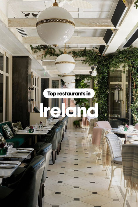 Picture of a bright restaurant's dining room in Ireland with text overlay that says, "Top restaurants in Ireland." Ireland Restaurants, Tipperary Ireland, Ireland Travel Guide, Top Restaurants, Best Dining, Top Hotels, Ireland Travel, Best Restaurants, Travel Itinerary