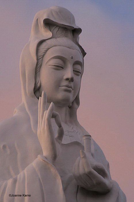 Sophia Code, Goddess Of Mercy, Oh My Goddess, Quan Yin, Kuan Yin, Kwan Yin, Sacred Feminine, Buddhist Temple, Buddha Art