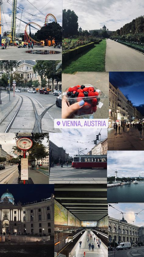 Vienna Aesthetic Wallpaper, Vienna Austria Aesthetic, Austria Aesthetic, Spanish Riding School Vienna, Vienna Aesthetic, Instagram Post Captions, Spanish Riding School, Vienna Travel, 2024 Moodboard