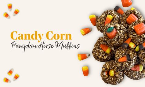 Halloween Pumpkin Horse Treat Recipe | Schneiders Blog Tack Trunk, Pumpkin Candy Corn, Horse Shampoo, Sugar Alternatives, Horse Treats, Treat Recipes, Corn Maze, Camp Ideas, Horse Blankets