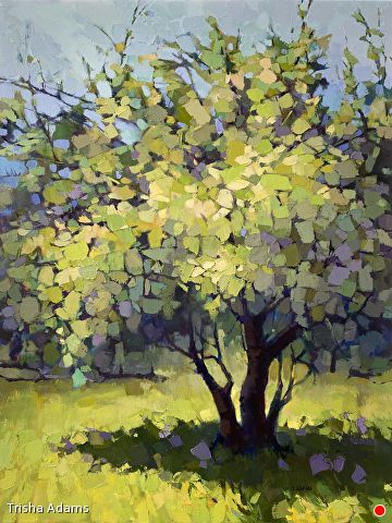 Spring Blossoms by Trisha Adams, Oil, 48 x 36 x 1.5 Impressionist Oil Paintings, Landscape Pictures To Paint, Master Artwork, Abstract Impressionist Paintings, Landscape Painting Ideas, Expressionist Landscape, Abstract Tree Painting, Watercolor Art Landscape, Modern Impressionism