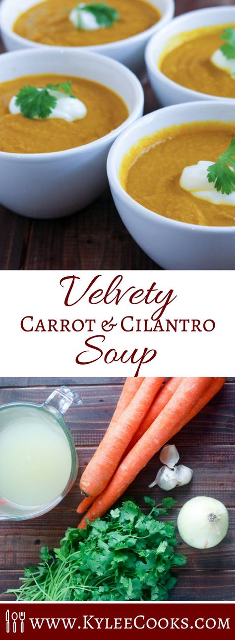 A very simple but amazingly full flavored, warming and satisfying carrot and cilantro soup, guaranteed to make you want to make this every single day! Gluten free, vegetarian Carrot Cilantro Soup, Recipe With Cilantro, Cilantro Soup, Autumn Foods, Cilantro Recipes, Carrot Soup Recipes, Delicious Soups, Beer Food, Carrot Soup