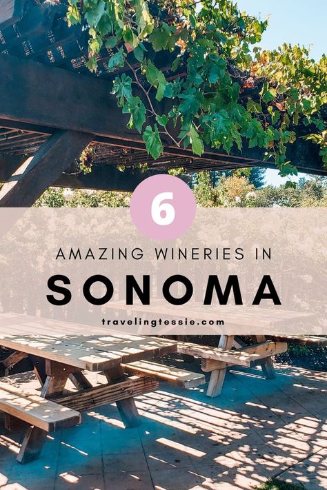 There are over 500 wineries in Sonoma County so it's hard to go wrong, but these are 6 amazing wineries you have to check out! Sonoma travel. Sonoma county wineries. Sonoma wineries. Wine country. Sonoma County Wineries, Sonoma Wineries, New England Road Trip, Being Better, Us Travel Destinations, San Juan Islands, Sonoma County, Road Trip Itinerary, Travel Design