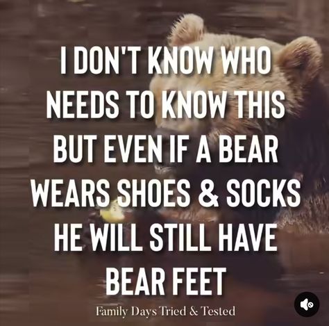 Moose Quotes, Holiday Jokes, Lumber Jack, Bear Hunting, Quote Of The Week, Family Day, Dog Quotes, Quotes Life, Lumber