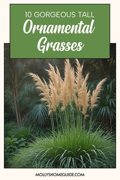 Discover the beauty of landscaping with tall ornamental grasses! Ornamental grasses are perfect for adding privacy and texture to your outdoor space. Create a stunning landscape using the best tall ornamental grass varieties available. Transform your garden with these tall decorative grasses that not only offer privacy but also bring a touch of elegance to any outdoor setting. Mexican Feather Grass Landscaping, Landscape With Grasses, Steep Hillside Landscaping, Decorative Grasses, Ornamental Grass Landscape, Blue Oat Grass, Tall Ornamental Grasses, Native Plant Landscape, Feather Reed Grass