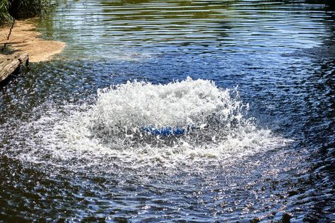 Pond aeration can help reduce the number of harmful pond bacteria, create a healthy environment for plants and fish, and reduce the number of algae in your pond. Learning how much aeration a pond needs is critical to making sure that you have a healthy pond. This article will tell you everything that you need to know to guarantee that you have proper aeration.  Factors Affecting the Size of Your Aeration System Different factors will affect the type of aeration system that you need. For ... Pond Aerator, Pond Fountains, Backyard Water Feature, Gallon Of Water, Ponds Backyard, Living Water, A Pond, Healthy Environment, Water Feature