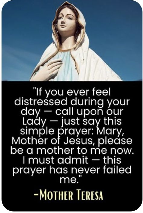 Mother Mary Prayer, Proper Manners, Mother Teresa Prayer, Mother Mary Quotes, Mary Mother Of Jesus, Catholic Doctrine, Catholic Beliefs, Mother Teresa Quotes, Novena Prayers