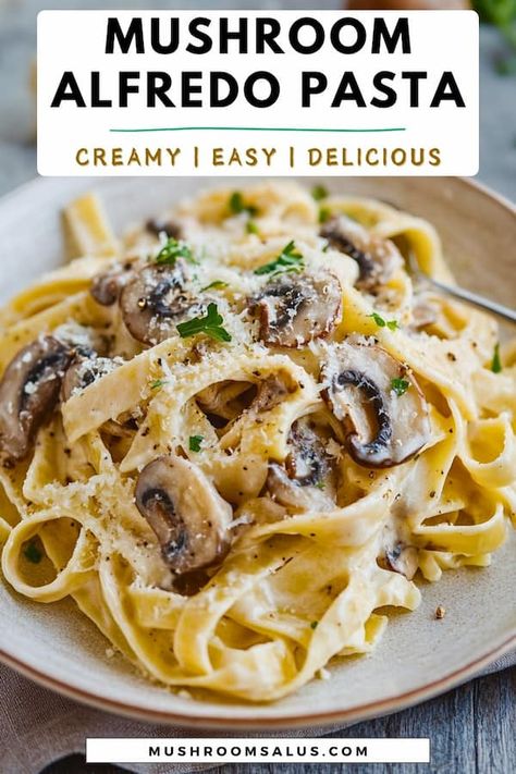 Craving a creamy, rich dinner that's both easy and delicious? This Mushroom Alfredo Pasta is the perfect comfort food with a vegetarian twist! Featuring tender fettuccine noodles coated in a velvety Alfredo sauce, loaded with sautéed mushrooms, and sprinkled with fresh basil. Whether you're whipping up a quick weeknight This creamy mushroom pasta is a crowd-pleaser. Ready in no time and perfect for vegetarians, this dish will have you coming back for seconds! Vegetarian Fettuccine Alfredo, Easy Pasta No Meat, Pasta Dishes No Meat, Vegetarian Alfredo Pasta, Mushroom Alfredo Pasta, Mushroom Fettuccine, Vegetarian Alfredo, Mushroom Alfredo, Prosciutto Pasta