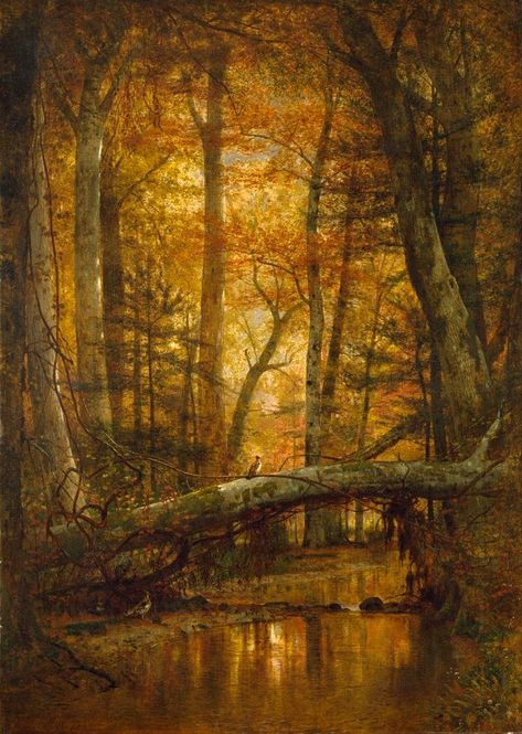 Hudson River School, American Painting, Hudson River, Autumn Landscape, Favorite Season, Enchanted Forest, Essential Oils Aromatherapy, Art Plastique, Nature's Beauty