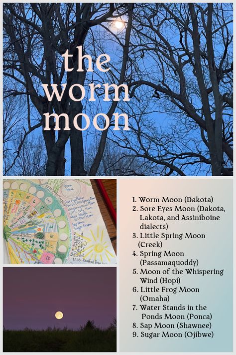 March's full moon and all its delightful names rooted in Native American tradition. Native American Moon, March Full Moon, Worm Moon, Moon Names, Moon Time, Native American Traditions, Sore Eyes, It's Never Too Late, Learn Something New