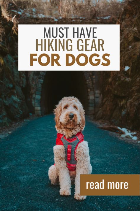 Dog Hiking Gear, Hiking Necessities, Best Hiking Gear, Dog Hiking, Dog Bags, Collapsible Dog Bowl, Dog Accesories, Pet Travel Bag, Night Hiking