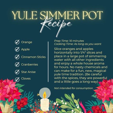 Yule Simmer Pot, Wicca Holidays, Winter Solstice Party, Yule Traditions, Yule Celebration, Solstice Party, Simmer Pot Recipes, Wiccan Rituals, Happy Winter Solstice