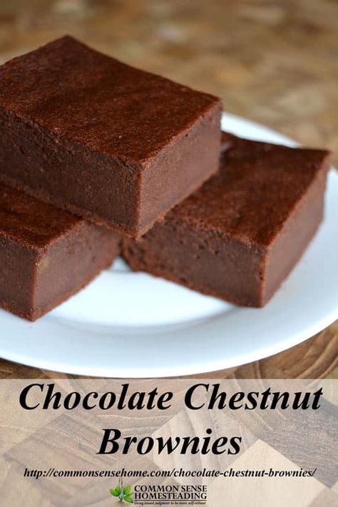 Fancy Baking, Chestnut Flour, Chestnut Recipes, Chocolate Cake Recipes, Seasonal Eating, Rich Cake, Gluten Free Brownies, Herb Recipes, Paleo Desserts