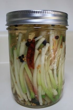 Pickled Ramps, Scallions or Leeks Leeks Recipes, Wild Leeks, Pickled Ramps, Leeks Recipe, Types Of Onions, Martha Stewart Living Magazine, Recipes With Ingredients, Leek Recipes, Foraged Food