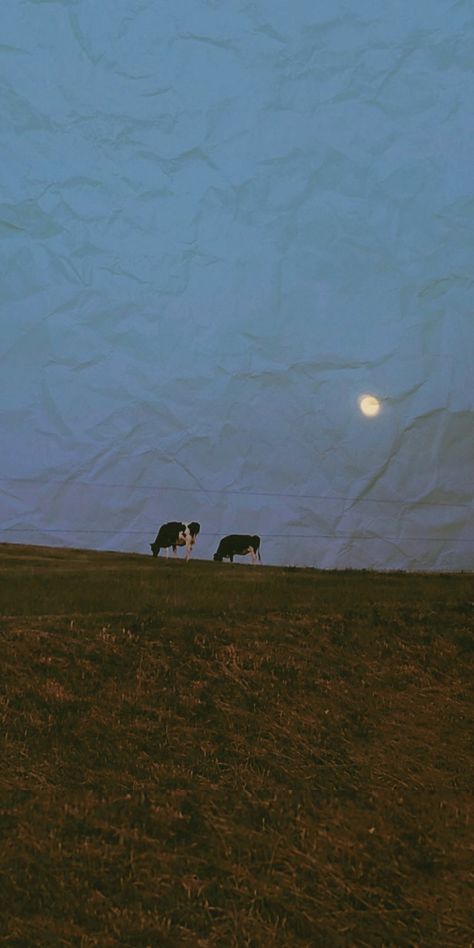 aesthetic wallpaper, cows under the moon Folk Aesthetic Wallpaper, Two Headed Calf Wallpaper, Aesthetic Cow Wallpaper, Cow Aesthetic Wallpaper, Cow Wallpaper Aesthetic, Folk Aesthetic, Cow And Moon, Cow Wallpaper, Under The Moon