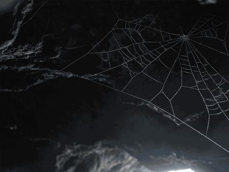 NA Spider Gif Banner, Dark Gothic Aesthetic, Spider Cobweb, Black And White Gif, Stimboard Gifs, Projector Photography, Dark Grunge Aesthetic, Gundham Tanaka, Dark Punk