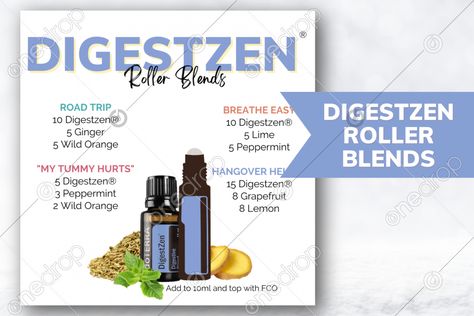 Roller Ball Recipes, Digest Zen, Digestzen Doterra, Doterra Blends, Roller Blends, Doterra Diffuser Blends, Essential Oil Combinations, Essential Oil Blends Recipes, Wild Orange