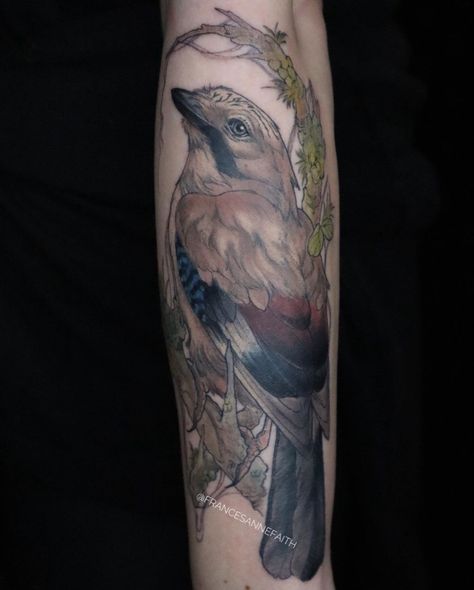 Eurasian jay and foliage Eurasian Jay Tattoo, Jay Tattoo, Eurasian Jay, Mom Tattoo, Mom Tattoos, Flower Tattoos, Jay, Tattoos