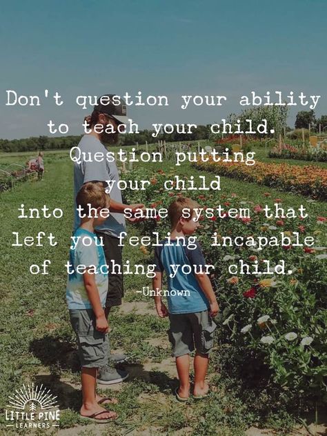 Homeschool Inspiration Quotes, Unschooling Quotes, Homeschooling Quotes, Love Inspiration Quotes, Homeschool Quotes, Educational Quotes, Quotes For Inspiration, Kindergarten Curriculum, Homeschool Education