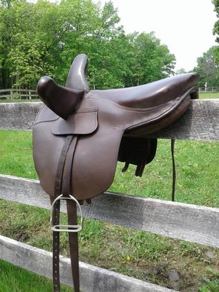 Sidesaddle Riding, Used Saddles For Sale, Miniature Horse Tack, Kiger Mustang, Highland Pony, Irish Sport Horse, Saddles For Sale, Welsh Pony, Used Saddles