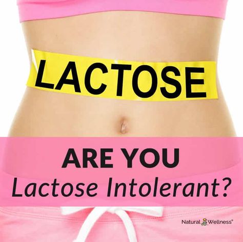 How Do You Know for Sure if You're Lactose Intolerant? Symptoms Of Lactose Intolerance, Lactose Intolerant Recipes, Gluten Free Dairy Free Recipes Dinner, Lactose Intolerant Symptoms, Lactose Intolerance, Anti Oxidant Foods, Digestive Supplements, Turmeric Health, Lactose Free Diet