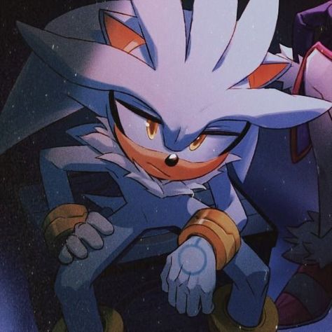 Silver The Hedgehog, The Hedgehog, Matching Pfp, Sonic, Sonic The Hedgehog, Silver