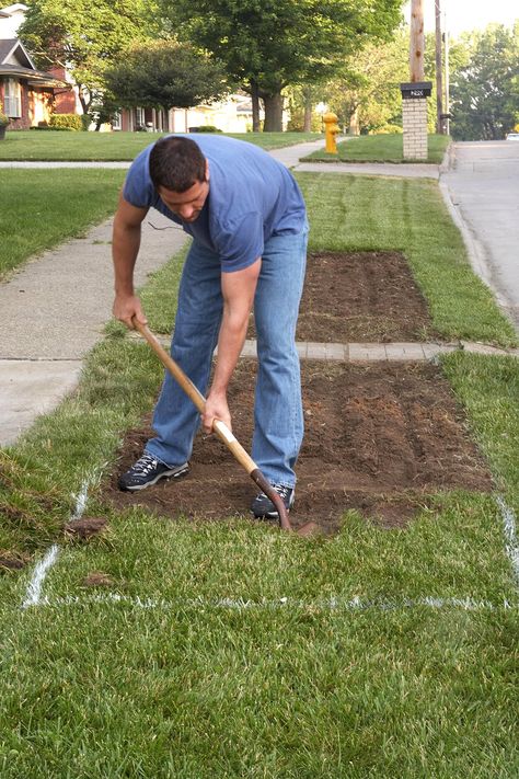 man-scooping-grass-from-parking-strip-area-c6c18c70 Parking Strip Ideas, Boulevard Planting, Boulevard Landscaping, Hell Strip Landscaping, Hellstrip Landscaping, Curb Landscaping, Parkway Landscaping, Curbside Landscaping, Strip Garden